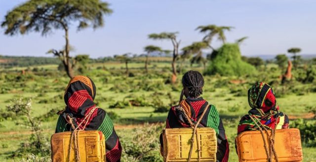 Most young, married girls in Ethiopia don’t have the family planning information they need. Photo: GettyImages