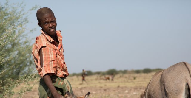 A boy in drought-affected area in the Afar Region looking for water and pasture for his donkeys – his livelihood. Photo: UNICEF Ethiopia/2015/Tesfaye
