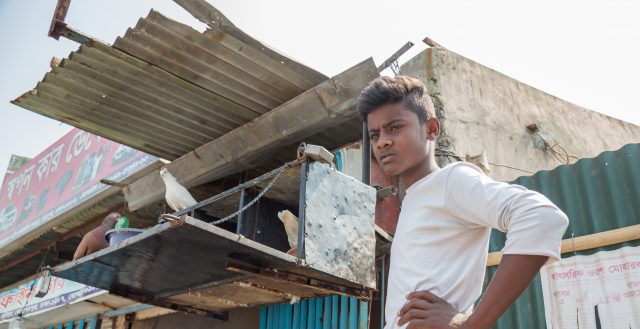 Shopar (19) taking care of his doves in Dhaka, Bangladesh. Photo: Nathalie Bertrams/GAGE